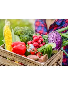 Large seasonal box - image not of actual box