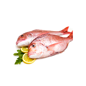Pink Bream Whole 