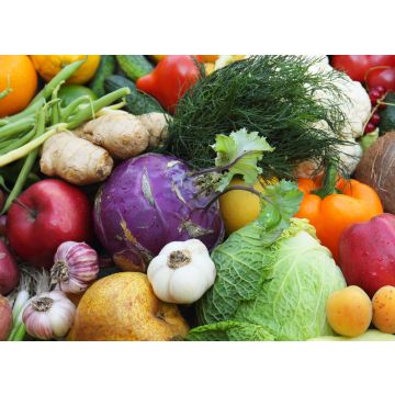 Medium seasonal box image not of actual box