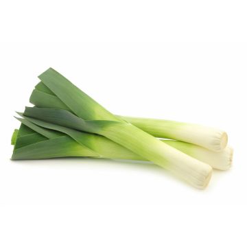 Leeks- 3 pack
