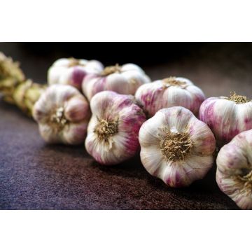 Garlic String - 1KG