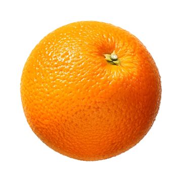 Oranges - 6 Pack