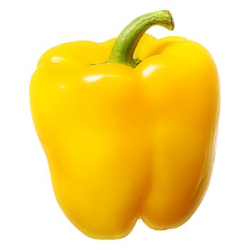 Yellow Pepper