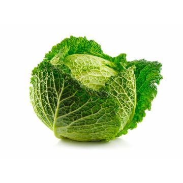 Savoy Cabbage