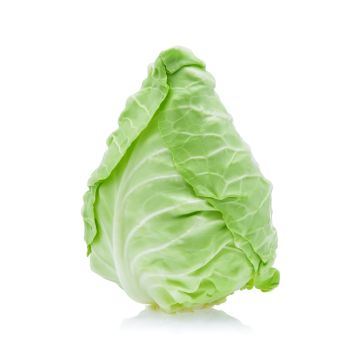 Hispi Cabbage - Each