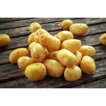 Baby potatoes - 1KG