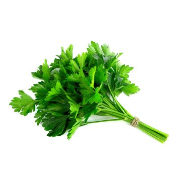 Parsley Flat Leaf - 80G -100G