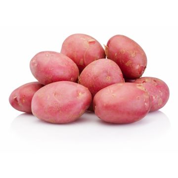 Red Potatoes - 1KG