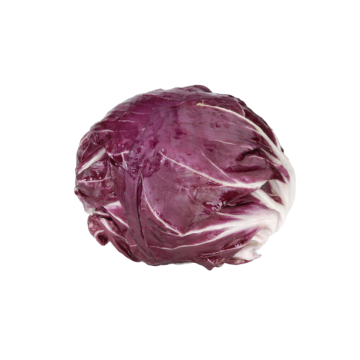 LETTUCE RADICHIO