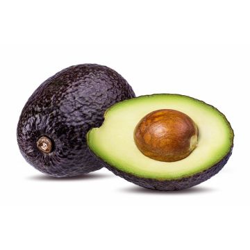 Tree Ripened Avocado - Each