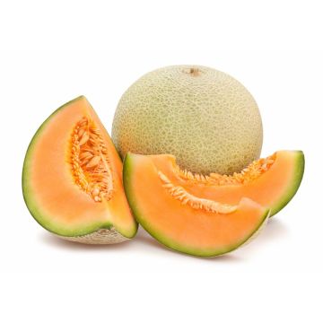 Canteloupe Melon - Each