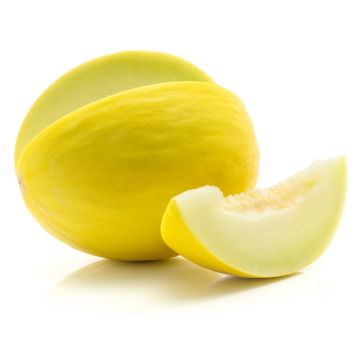 Yellow Melon - Each