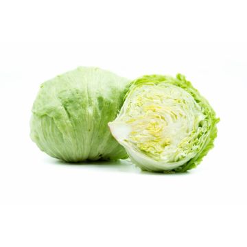 LETTUCE ICEBERG