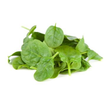 Baby Leaf Spinach - 200G