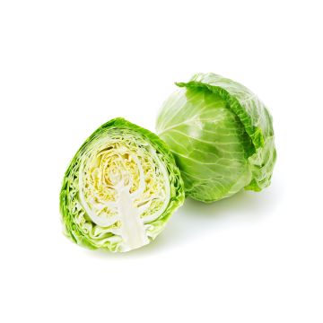 Spring Green Cabbage