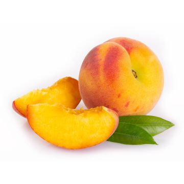 Peaches - 4 Pack