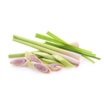 Lemon Grass - Bunch