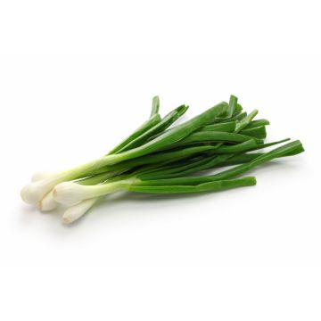 Spring onions