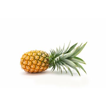 Pineapple - Each