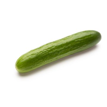 Cucumber