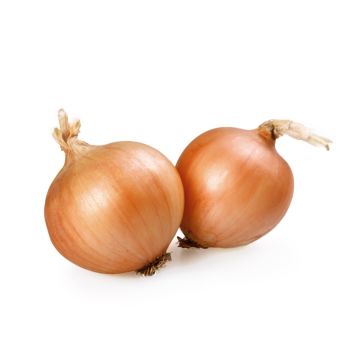 Large Onions - Each