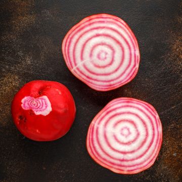 Candy Stripe Beetroot - 1KG