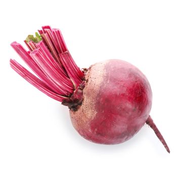 Red Beetroot  - 1KG