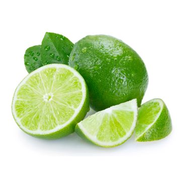Limes - 5 pack