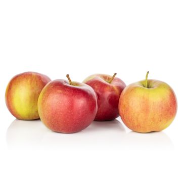 Braeburn Apples - 5 pack
