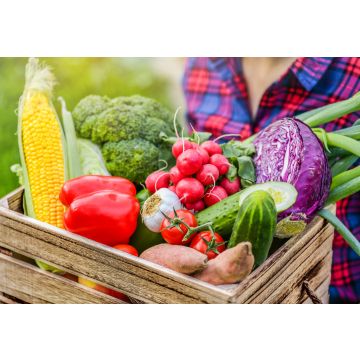 Large seasonal box - image not of actual box