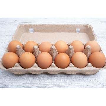 Free Range Medium Eggs - 1 Dozen