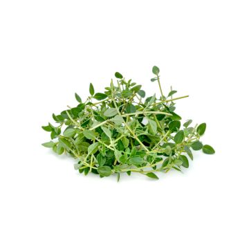 Thyme - 80G-100G