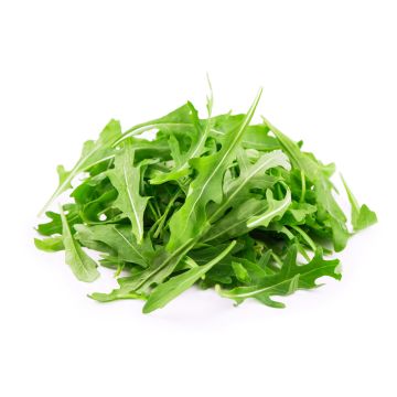 ROQUETTE