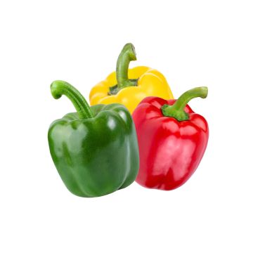 Mixed Peppers - pack of 3