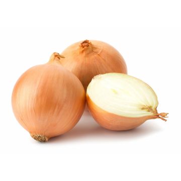 Cooking Onions - 1KG