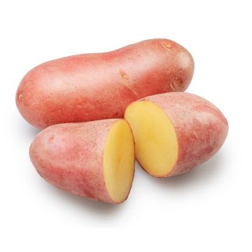 Washed Red Potatoes - 10KG