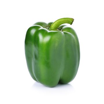 Green Pepper