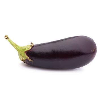 Aubergine
