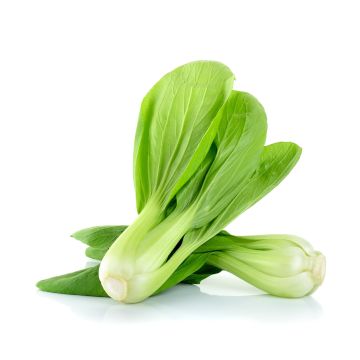 Pak Choi - Pack of 2
