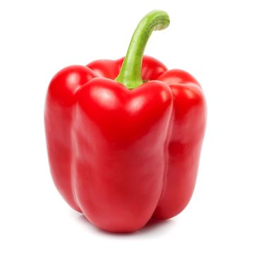 Red Pepper