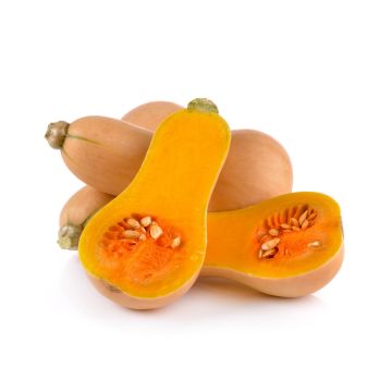 Small Butternut Squash - Each