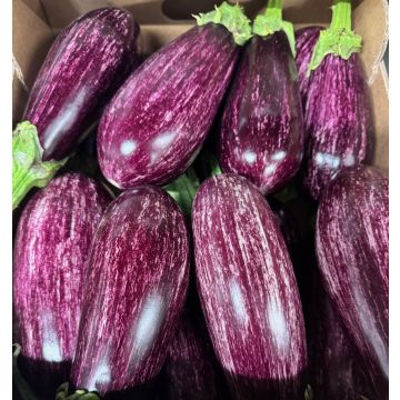 Grafitti Aubergine - Each