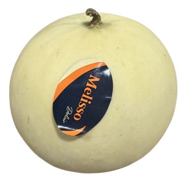 Melisso Melon