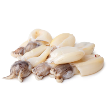 Cuttlefish - Cleaned - 500G