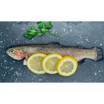 Local Rainbow Trout - 290-340G (Whole fish)