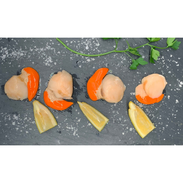 Shetland Scallops - 500G