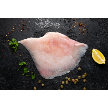 Skate Wings - 340G – 500G