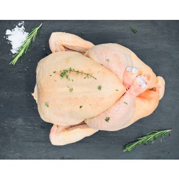 Whole chicken - 1.6 KG