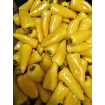 Yellow Sweetbite Peppers - 250G