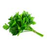 Parsley Flat Leaf - 80G -100G